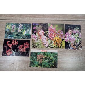 Vintage Orchid Florida Postcards (6) 1950s Unused Botanical Flowers T.A. Fennel